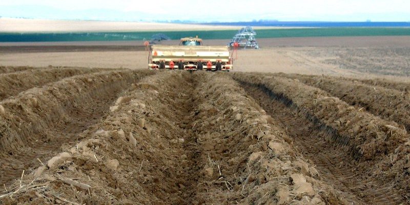 Potato_planting_machine